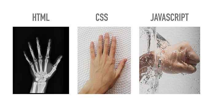 Hands analogy showing the difference between HTML, CSS and Javascript